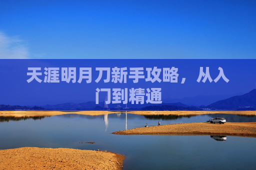 天涯明月刀新手攻略，从入门到精通