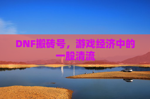 DNF搬砖号，游戏经济中的一股清流