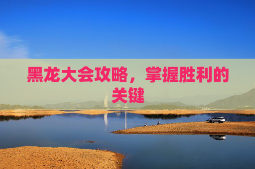黑龙大会攻略，掌握胜利的关键