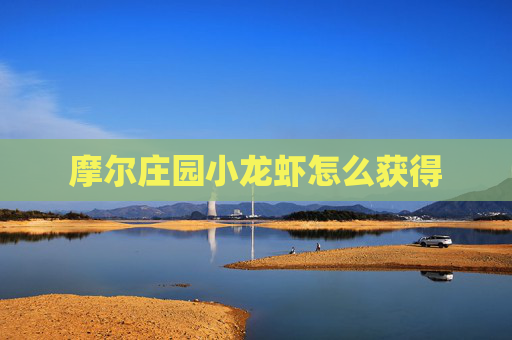摩尔庄园小龙虾怎么获得