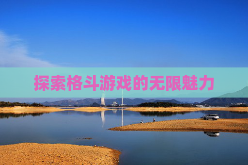 探索格斗游戏的无限魅力