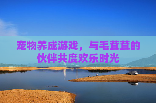 宠物养成游戏，与毛茸茸的伙伴共度欢乐时光