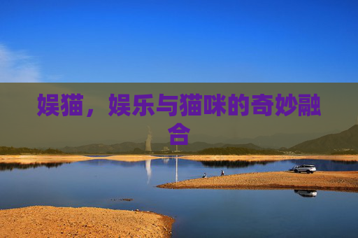 娱猫，娱乐与猫咪的奇妙融合