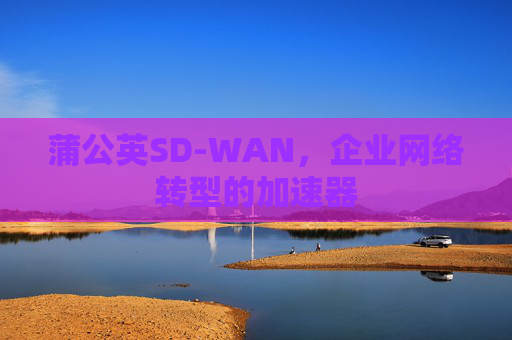 蒲公英SD-WAN,企业网络转型的加速器 蒲公英SD-WAN,企业网络转型的加速器