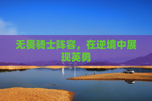 无畏骑士阵容，在逆境中展现英勇