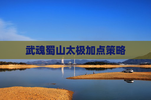 武魂蜀山太极加点策略