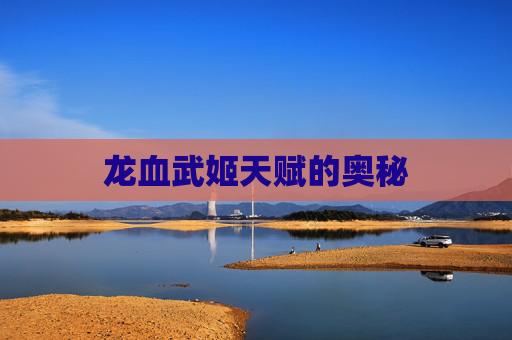 龙血武姬天赋的奥秘