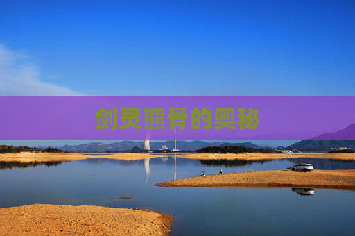 剑灵熊骨的奥秘 剑灵熊骨的奥秘