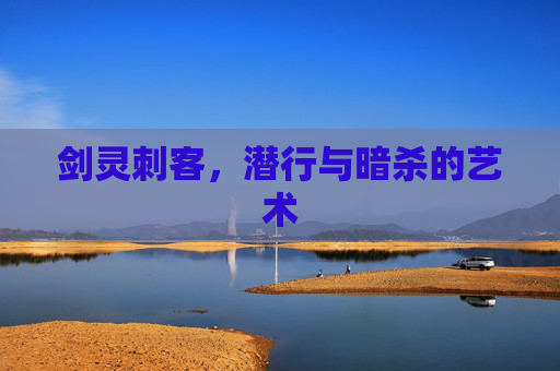 剑灵刺客,潜行与暗杀的艺术 剑灵刺客,潜行与暗杀的艺术