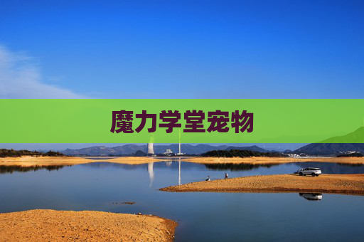 魔力学堂宠物