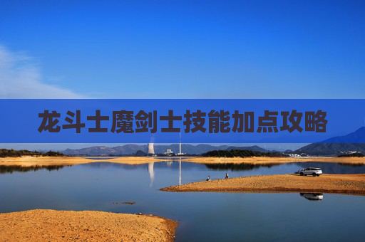 龙斗士魔剑士技能加点攻略
