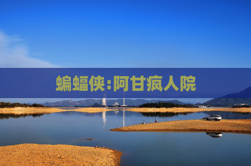 蝙蝠侠:阿甘疯人院 蝙蝠侠:阿甘疯人院