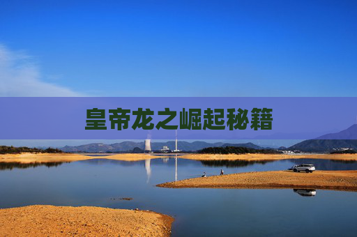 皇帝龙之崛起秘籍
