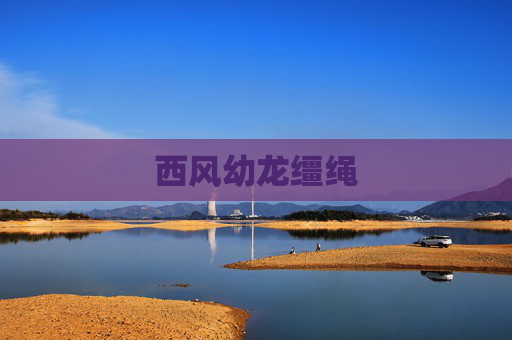 西风幼龙缰绳