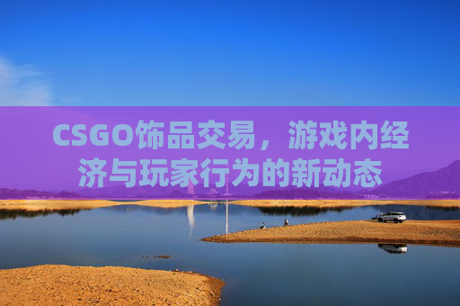 CSGO饰品交易，游戏内经济与玩家行为的新动态