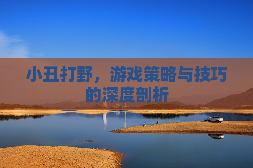 小丑打野,游戏策略与技巧的深度剖析 小丑打野,游戏策略与技巧的深度剖析
