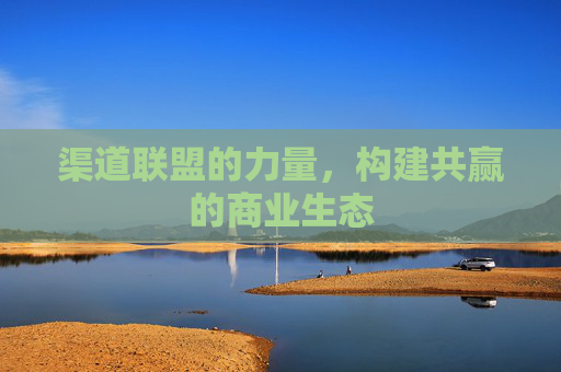 渠道联盟的力量，构建共赢的商业生态