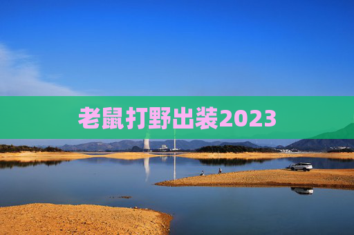 老鼠打野出装2023