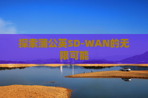 探索蒲公英SD-WAN的无限可能