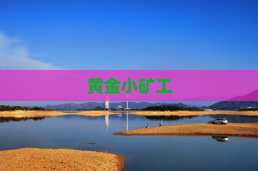 黄金小矿工