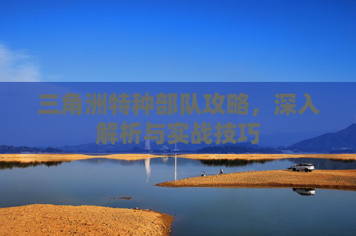 三角洲特种部队攻略，深入解析与实战技巧
