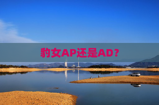 豹女AP还是AD？