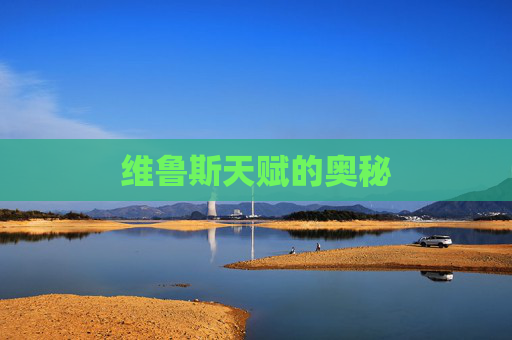 维鲁斯天赋的奥秘