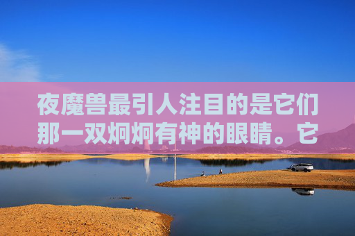 夜魔兽最引人注目的是它们那一双炯炯有神的眼睛。它们的眼睛可以看穿黑暗,洞察一切。无论是白天还是黑夜,它们都能清晰地看到周围的一切。这使得它们成为了森林中的守护者,保护着这片土地的安宁 夜魔兽最引人注目的是它们那一双炯炯有神的眼睛。它们的眼睛可以看穿黑暗,洞察一切。无论是白天还是黑夜,它们都能清晰地看到周围的一切。这使得它们成为了森林中的守护者,保护着这片土地的安宁