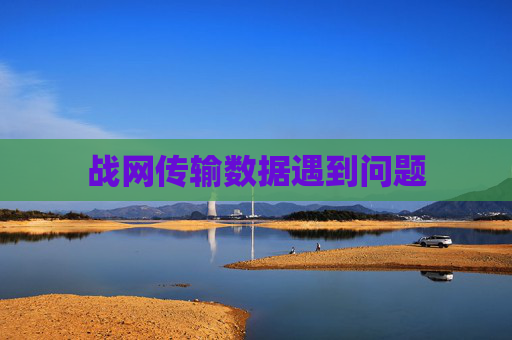 战网传输数据遇到问题