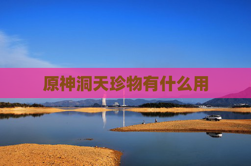 原神洞天珍物有什么用 原神洞天珍物有什么用