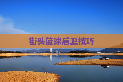 街头篮球后卫技巧