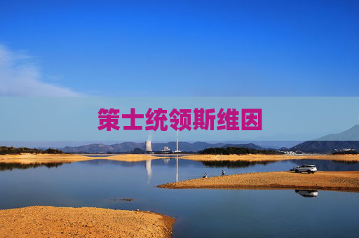 策士统领斯维因 策士统领斯维因