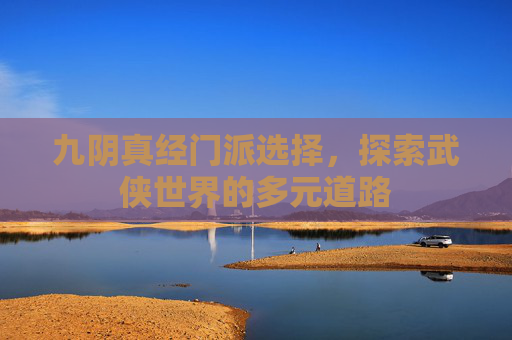 九阴真经门派选择,探索武侠世界的多元道路 九阴真经门派选择,探索武侠世界的多元道路