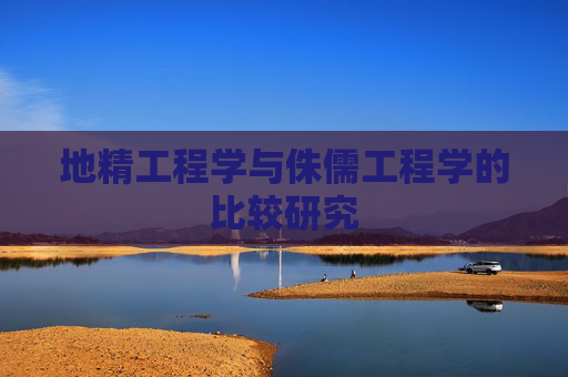 地精工程学与侏儒工程学的比较研究