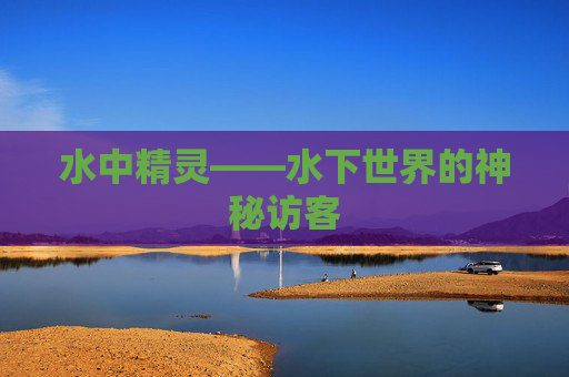 水中精灵——水下世界的神秘访客 水中精灵——水下世界的神秘访客