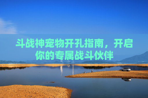斗战神宠物开孔指南,开启你的专属战斗伙伴 斗战神宠物开孔指南,开启你的专属战斗伙伴