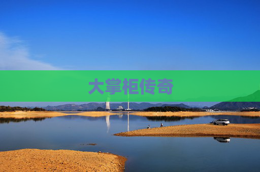 大掌柜传奇