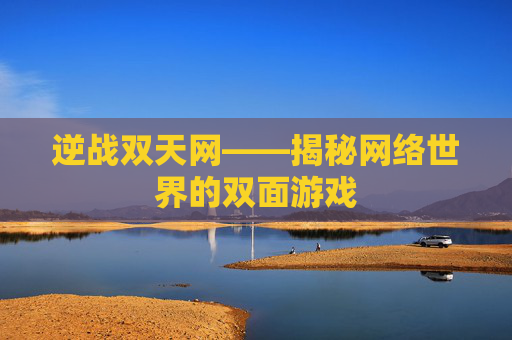 逆战双天网——揭秘网络世界的双面游戏 逆战双天网——揭秘网络世界的双面游戏