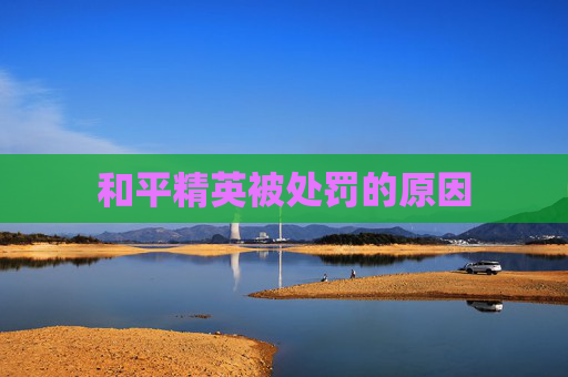 和平精英被处罚的原因 和平精英被处罚的原因
