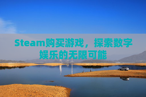 Steam购买游戏，探索数字娱乐的无限可能