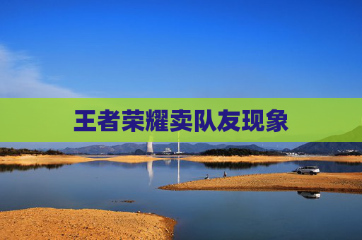 王者荣耀卖队友现象