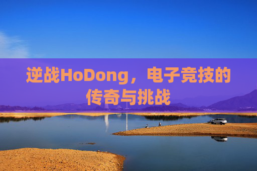 逆战HoDong，电子竞技的传奇与挑战