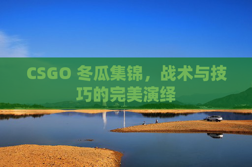 CSGO 冬瓜集锦，战术与技巧的完美演绎