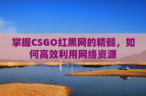 掌握CSGO红黑网的精髓，如何高效利用网络资源