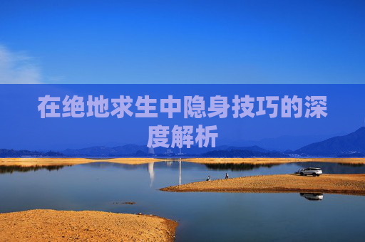在绝地求生中隐身技巧的深度解析