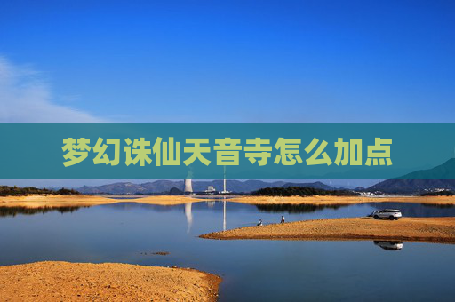 梦幻诛仙天音寺怎么加点 梦幻诛仙天音寺怎么加点