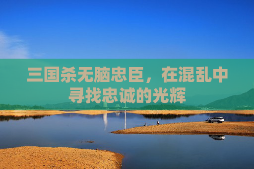三国杀无脑忠臣，在混乱中寻找忠诚的光辉