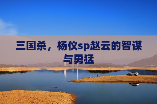 三国杀，杨仪sp赵云的智谋与勇猛