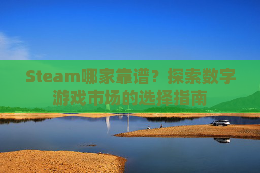Steam哪家靠谱？探索数字游戏市场的选择指南