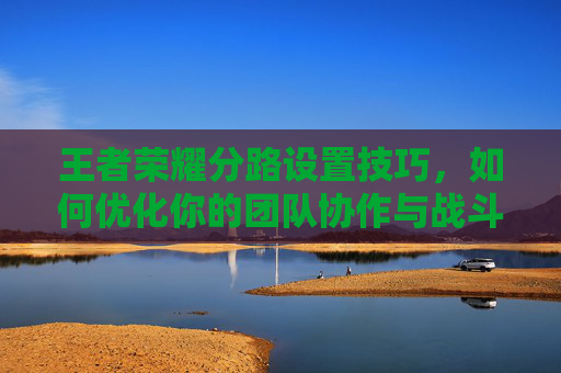 王者荣耀分路设置技巧，如何优化你的团队协作与战斗效率